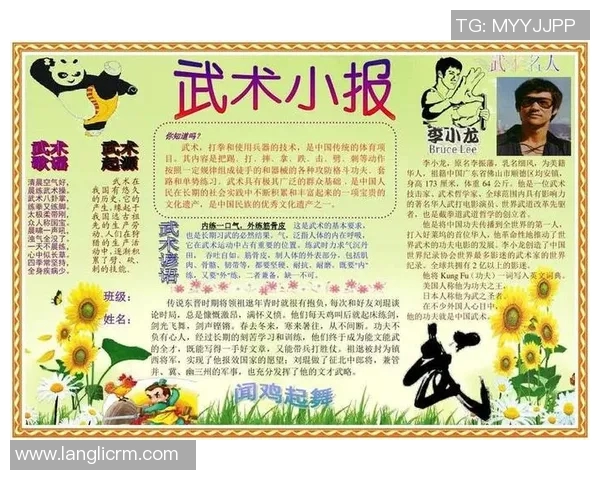 探寻武术的深层魅力与精神传承：从传统技艺到现代发展的多维视角